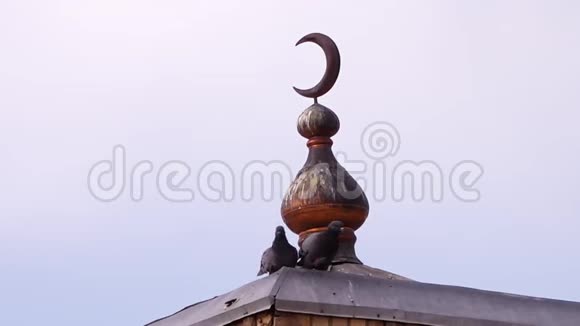 新月号在建筑物顶部视频的预览图