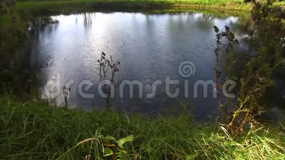田野中央的一个宽阔的池塘视频的预览图