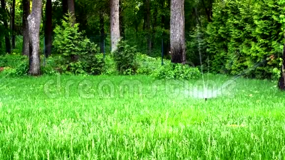 夏天给花园或公园的草坪浇水视频的预览图