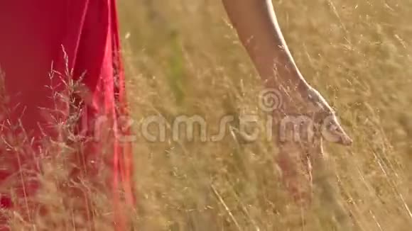 日落时穿红裙子的美女在森林里女人的手特写女孩手摸着草地尽情享受视频的预览图