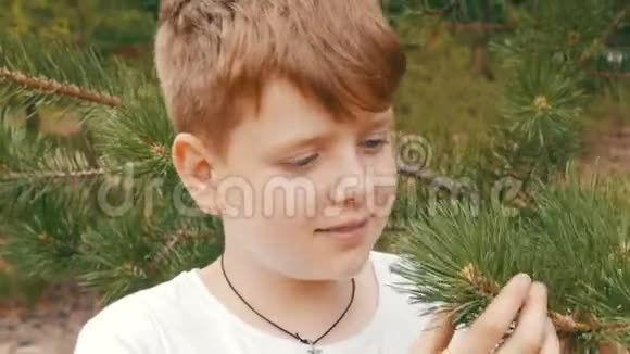 一个红发少年蓝眼睛雀斑看着云杉树枝的情感画像视频的预览图