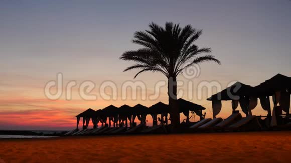 美丽的塞浦路斯海滩休闲区棕榈树和帐篷在风景如画的日落背景下视频的预览图