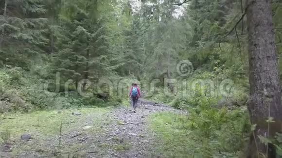 在森林里徒步旅行的游客妇女背着背包穿越森林视频的预览图