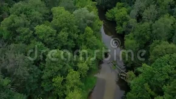 鸟瞰美丽的风景河流在绿色的落叶森林中流动以不同的速度拍摄视频的预览图