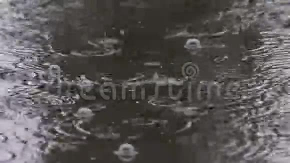许多雨滴落在水面上视频的预览图