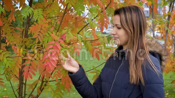 秋天的森林里快乐可爱美丽的年轻女子的肖像女孩摸了摸秋叶的手4k视频的预览图