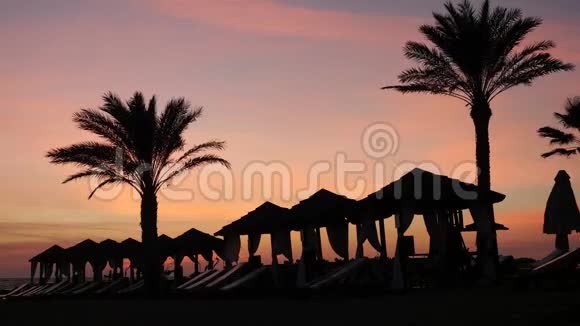 美丽的塞浦路斯海滩休闲区在风景如画的日落背景下有棕榈树和帐篷视频的预览图