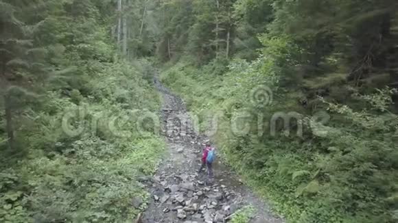 在森林里徒步旅行的游客妇女背着背包穿越森林视频的预览图
