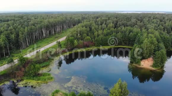 俄罗斯靠近乡间公路的蓝色池塘上空的空中运动和鸟群飞过池塘视频的预览图