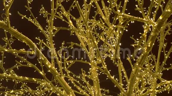 树枝被节日的灯光包裹着圣诞街灯特写镜头视频的预览图