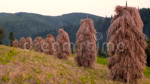 山村里的传统干草堆草地上的干草堆海菲尔德在附近一片小田野上的干草堆视频的预览图