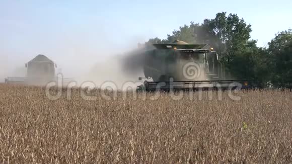 收割大豆期间在田间工作的收割机农业工业视频的预览图