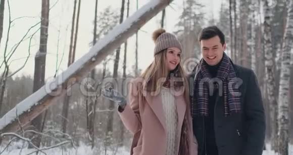 在冬季公园快乐的年轻夫妇家庭户外爱情视频的预览图