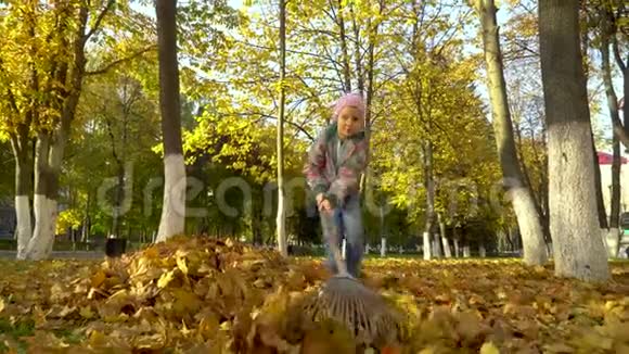 一个小女孩收集成堆从树上掉下来叶子视频的预览图