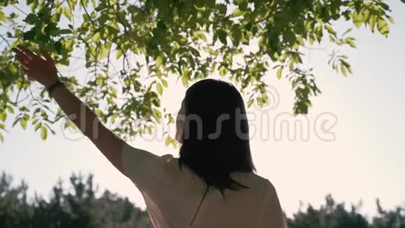 一个年轻美丽的女人她试图触摸树上的叶子一个不专注的轮廓视频的预览图