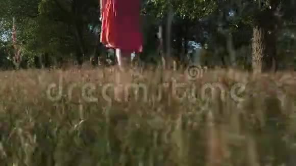 一位年轻的美女走在树林中的黄草上视频的预览图