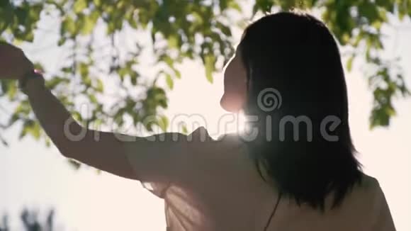 一位年轻漂亮的女士站在阳光下触摸着树枝视频的预览图