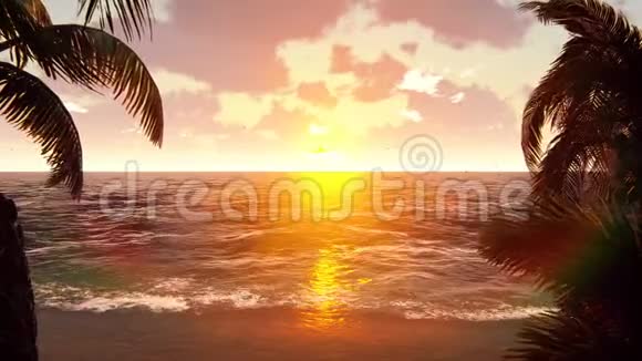 飞机在美丽的日落背景下飞越热带岛屿视频的预览图