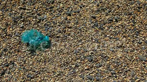 石滩塑料瓶包装垃圾高清镜头视频的预览图