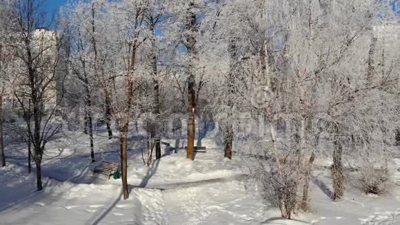 冬天白雪覆盖的城市公园和俄罗斯莫斯科侧移运动视频的预览图