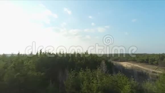 无人驾驶赛车视野日落时分飞越森林动态射击视频的预览图
