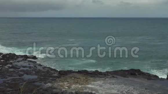 在夏威夷考艾的喇叭口吐口水视频的预览图