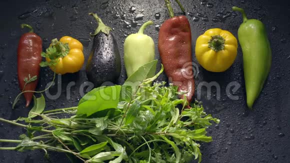 蔬菜茄子和胡椒在水滴中带着新鲜青草的人视频的预览图