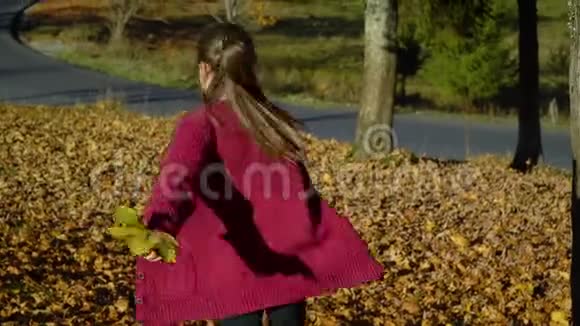 美丽的少女在秋林中嬉戏她钦佩树叶这个女孩很高兴她在笑视频的预览图
