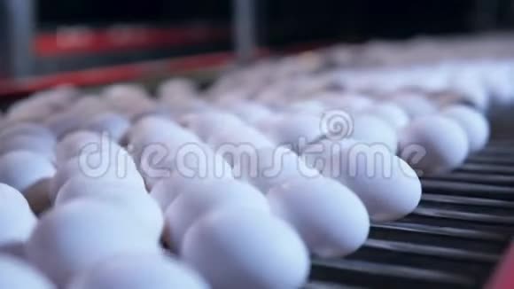 鸡蛋生产线视频的预览图