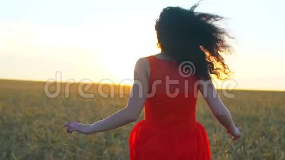 快乐的年轻西班牙裔美女在日落的夏天在麦田上奔跑自由健康幸福旅游视频的预览图
