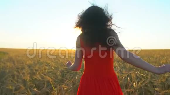 快乐的年轻西班牙裔美女在日落的夏天在麦田上奔跑自由健康幸福旅游视频的预览图