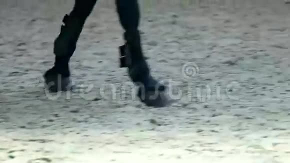 骑马靴和女骑马靴视频的预览图