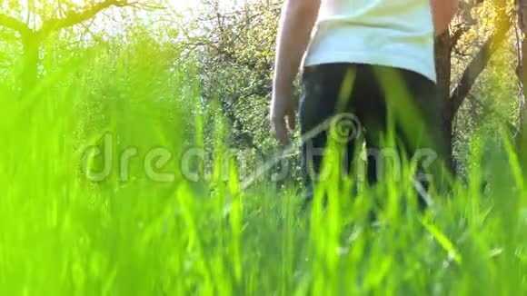 男孩正走在花园里高高的草地上高高的草地上慢悠悠地走着视频的预览图