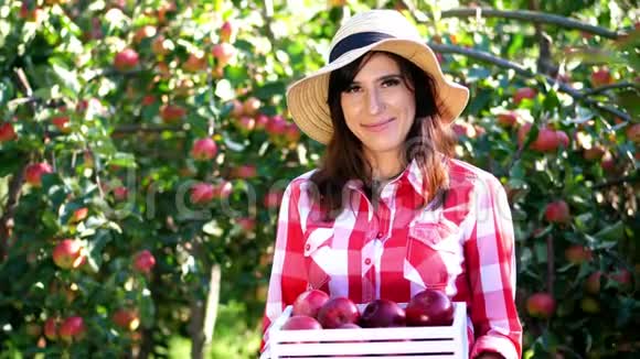 美丽的女农民举着一个木箱里面放着红色成熟的有机苹果微笑着在上面摘苹果视频的预览图