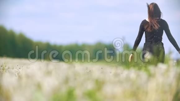 阳光明媚的一天年轻女子从蒲公英草地上奔跑的后景视频的预览图