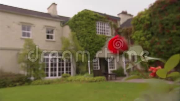 后院一朵红玫瑰视频的预览图