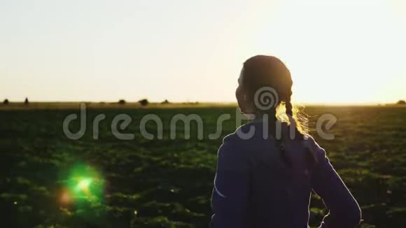 日落时分女孩沿着田野奔跑视频的预览图