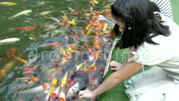 亚洲儿童在花园池塘里喂鱼孩子们用一种特殊的液体鱼类食物从婴儿瓶中喂鲤鱼锦鲤鱼视频的预览图