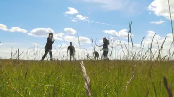 快乐的朋友们在夏天的草地上玩得开心年轻人把球朝镜头扔过去视频的预览图