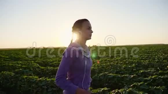 日落时分女孩沿着田野奔跑视频的预览图