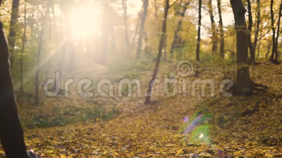 一个人走进秋天的落叶林孤独地欣赏大自然视频的预览图