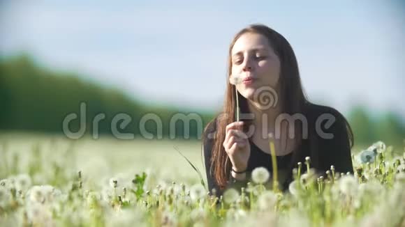 白种人快乐的女孩在夏天的草地上吹蒲公英视频的预览图