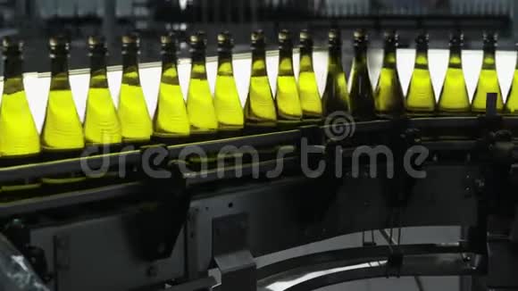 带有酒精的瓶子沿着自动传送带移动香槟工厂的质量控制视频的预览图