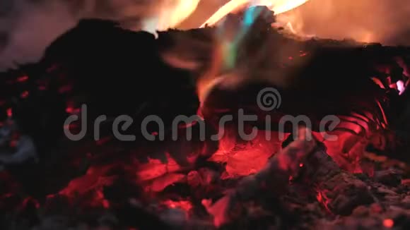 书在火里燃烧视频的预览图