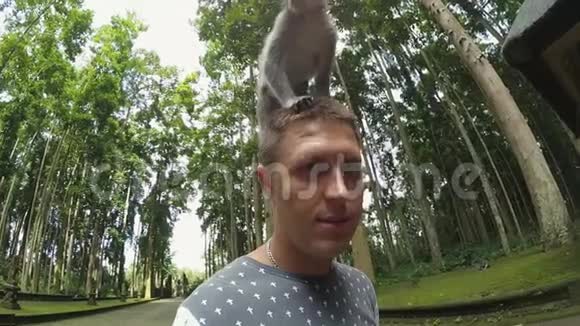 白种人可爱的家伙站在公园里猴子坐在他的头和肩膀上视频的预览图