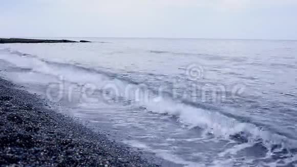 美丽的黑海一只鸽子在海滩上经过暑期度假旅游概念视频的预览图
