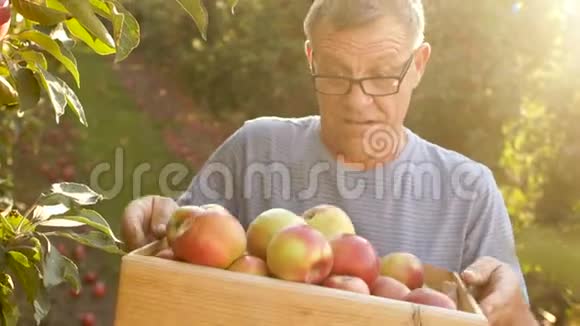 老人微笑着拿着一个装有红苹果的盒子农场收获健康食品视频的预览图