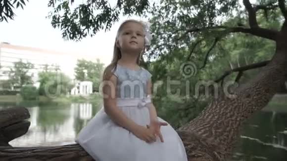 小女孩坐在树上视频的预览图