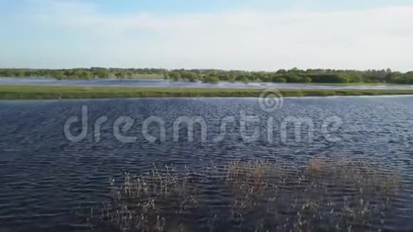 春天一片充满水的田园视频的预览图