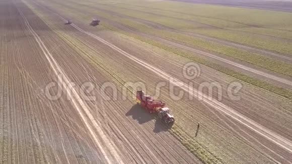 在阳光明媚的日子里在田里的马铃薯收割机上飞行视频的预览图